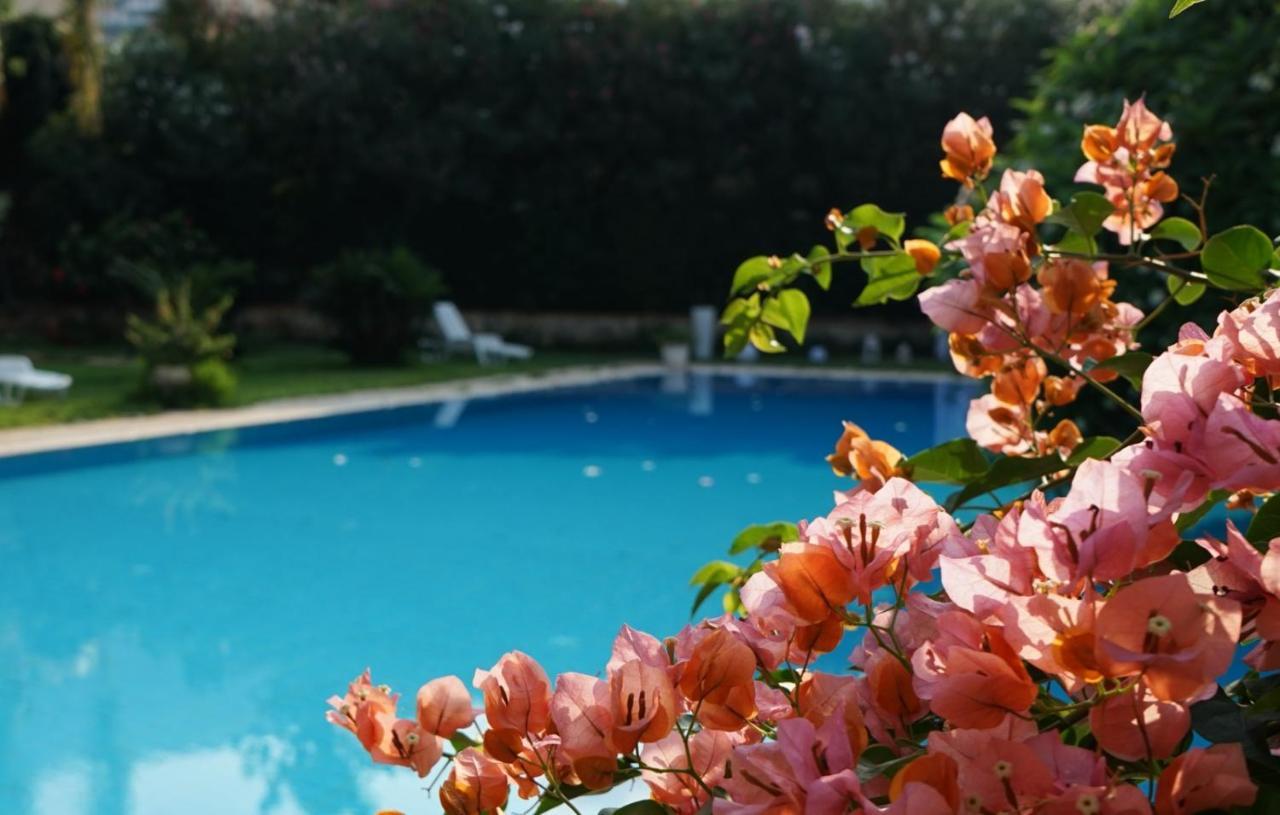 Villa Megna - Green Paradise B&B Palermo Kültér fotó